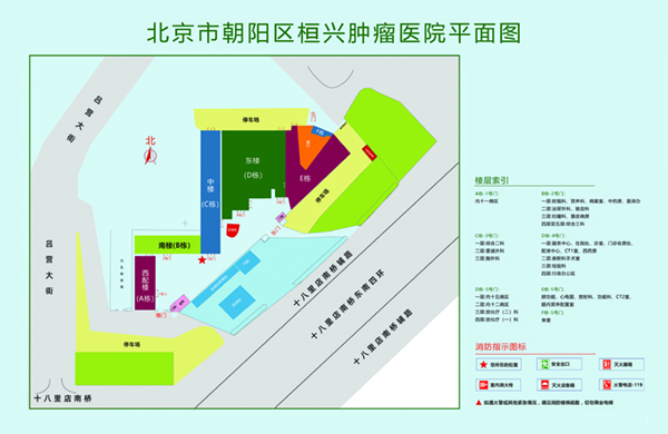 野外尻逼北京市朝阳区桓兴肿瘤医院平面图